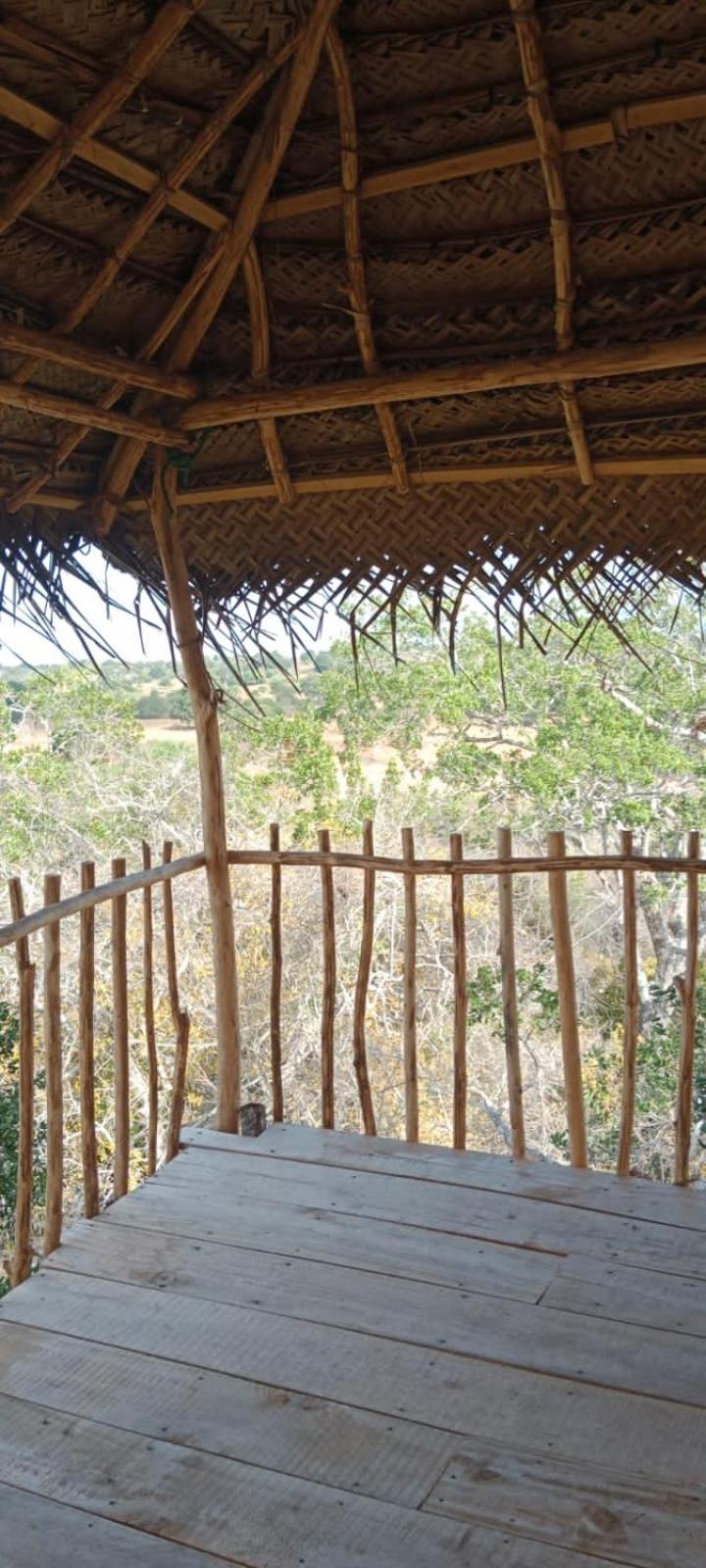 Hotel Mamba Yala Tissamaharama Exteriér fotografie