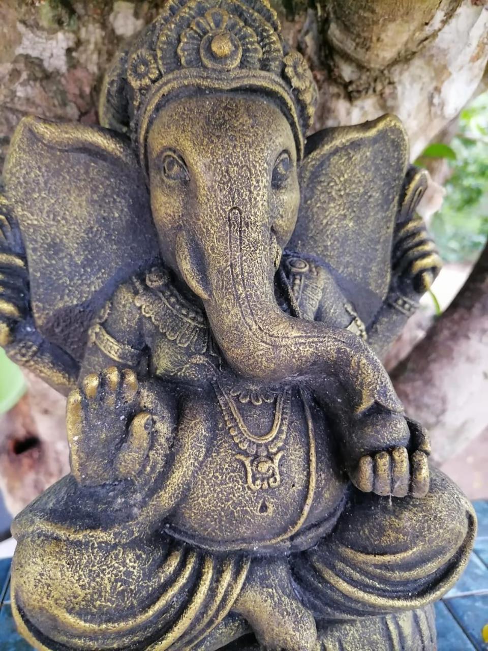 Hotel Mamba Yala Tissamaharama Exteriér fotografie